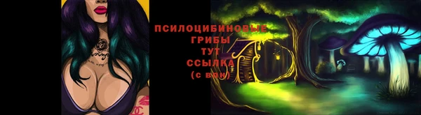 бошки Аркадак